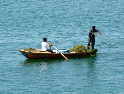 Fishing in the Suez Canal