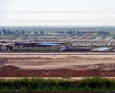 Farms in the Nile Delta along the Suez Canal