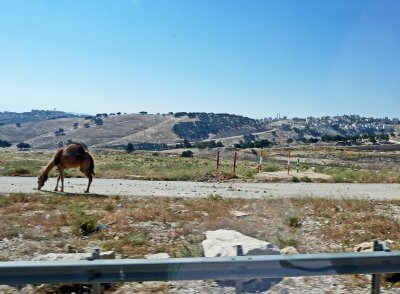 On the Road from Jerusalem to Bethelehem