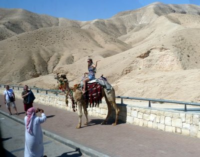 Camel Rides at Sea Level in Israel