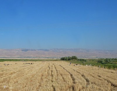 Farming in the Jordan Valley