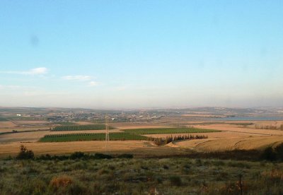 Israeli Farmland