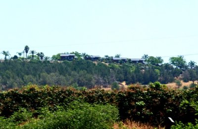 Israeli Settlement on the Golan Heights