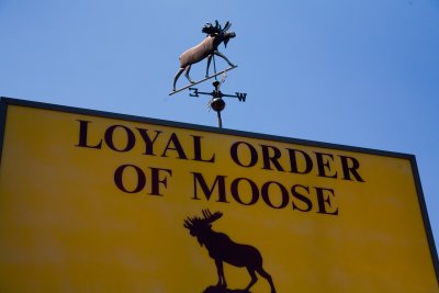 Is there such a thing as the Fickle Order of Moose?