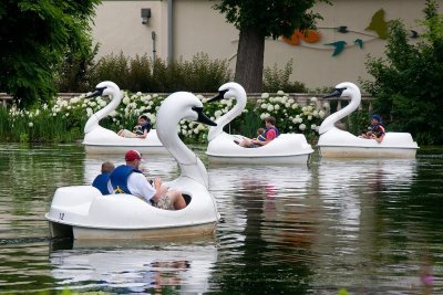 Swan boats.....Stephen's favorites.