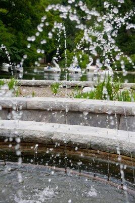 Through the water fountain