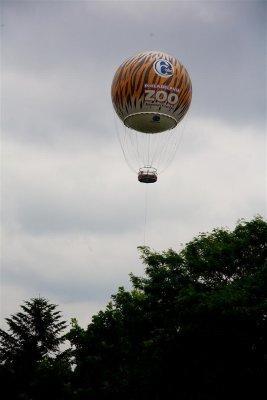 Zoo balloon aloft
