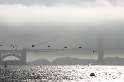 Day 1 Golden Gate fog