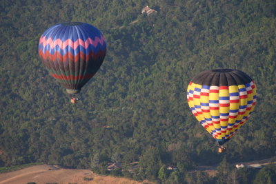 Napa Valley balloons