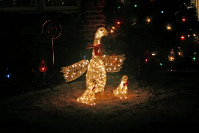 Christmas goose