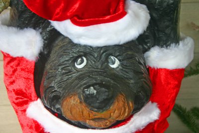 Santa Bear