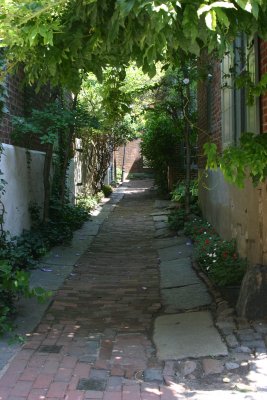 Shady alley