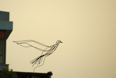 The Iron Wire Bird