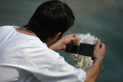 Photographing