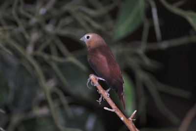 DSC_5173-02.jpg