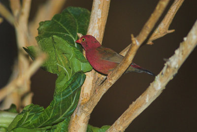 DSC_5189-02.jpg