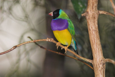 DSC_5215-02.jpg