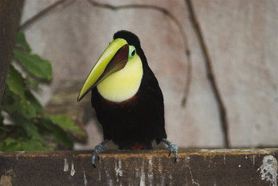 DSC_5239-02.jpg