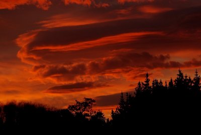 Sunrise from NZ alpine park.jpg