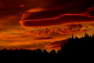 Sunrise with fohn wind from NZ alpine park.