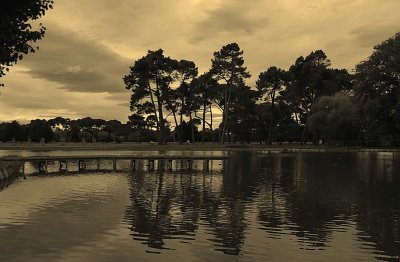 Reflections in sepia.jpg