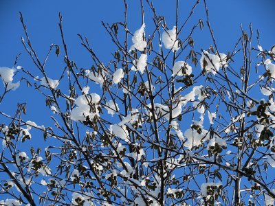 CHRISTCHURCH SNOW