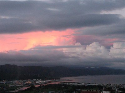 Wellington sunrise.JPG