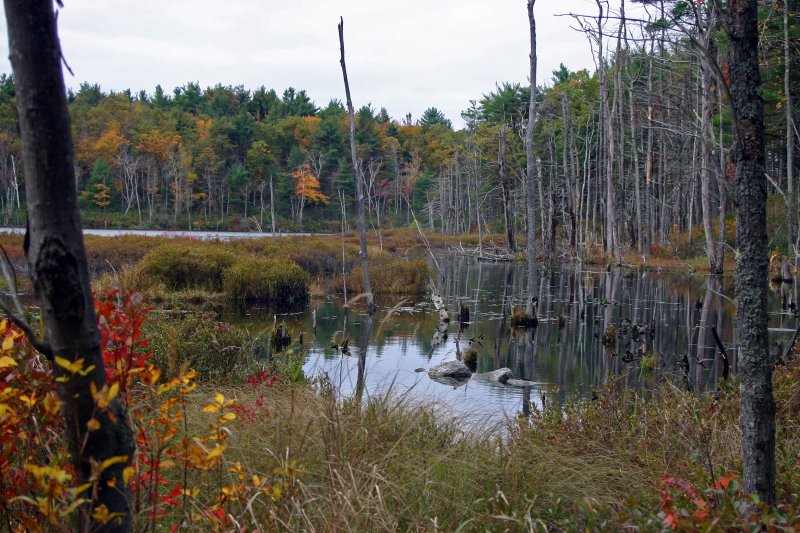midstate trail to ashburnham ashby 1829.jpg