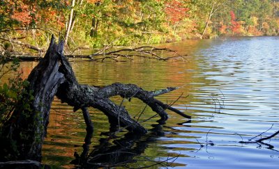 midstate trail to barre rutland 1036.jpg