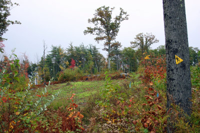 midstate trail to mt wachusett redention rock 1602.jpg