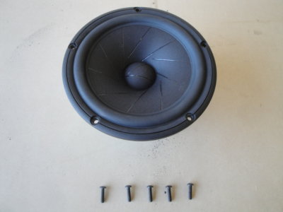 Scan 18S midbass with screws