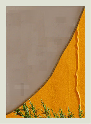 116.jpg