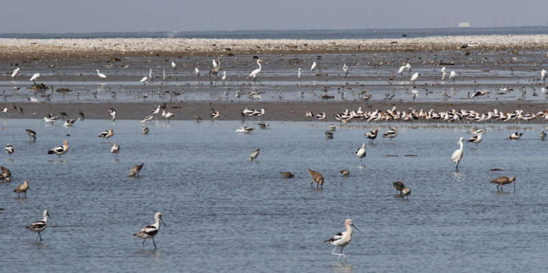 West Jetty Flats, Calcasieu River