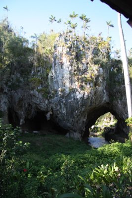 Cueva de Los Portales, Bird Survey Site