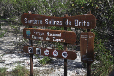 Bird Survey Site, Las Salinas