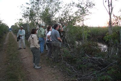 Bird Survey Site, La Turba, Cuban Wren