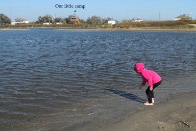 Peveto Beach, Cameron Parish, Nov. 2011