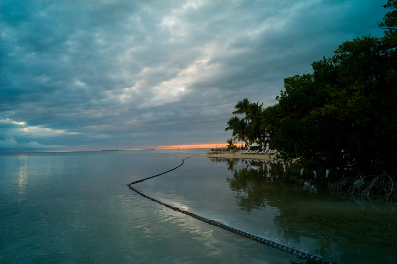 Beach Sunset.