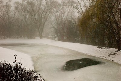 Pond, December 22