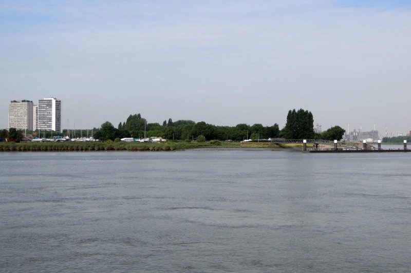 DSC06454.JPG