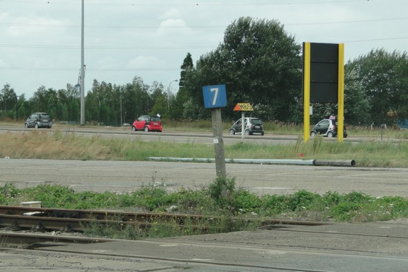 DSC06565.JPG