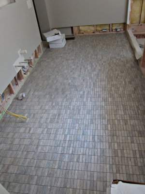 Day 218 - Master Bath Tile