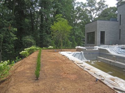 Day 251 - Rear Landscaping Progress