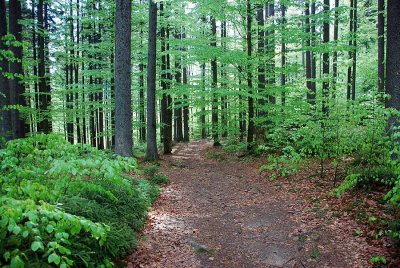 Bayerisch Eisenstein_0865.jpg