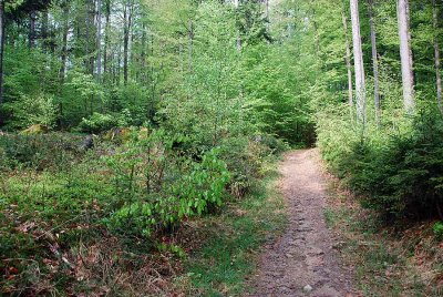 Bayerisch Eisenstein_0878.jpg