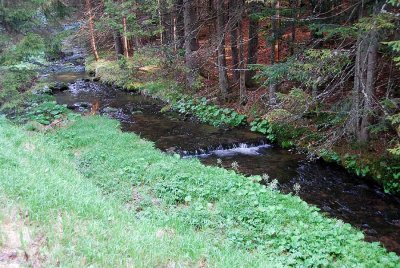Bayerisch Eisenstein_0890.jpg