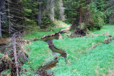 Bayerisch Eisenstein_0933.jpg