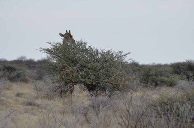 2011 10 27_2110.jpg