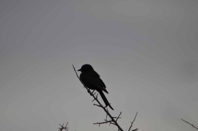 2011 10 27_2133.jpg