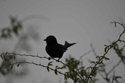 2011 10 27_2135.jpg